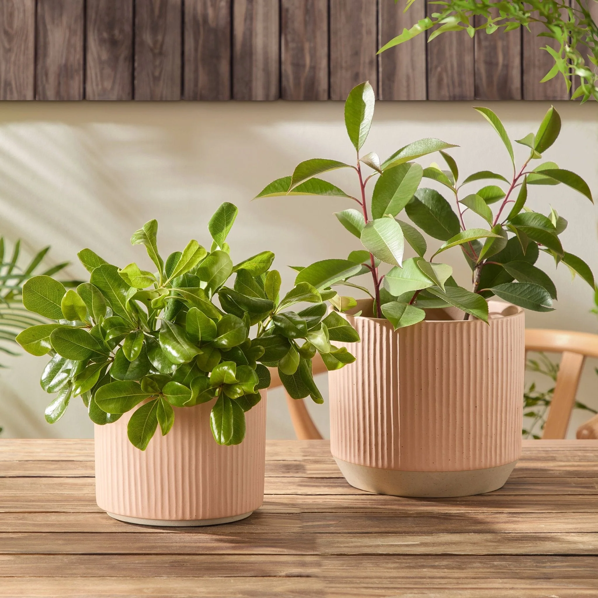 Flora Ribbed Clay Plant Pot - Pink