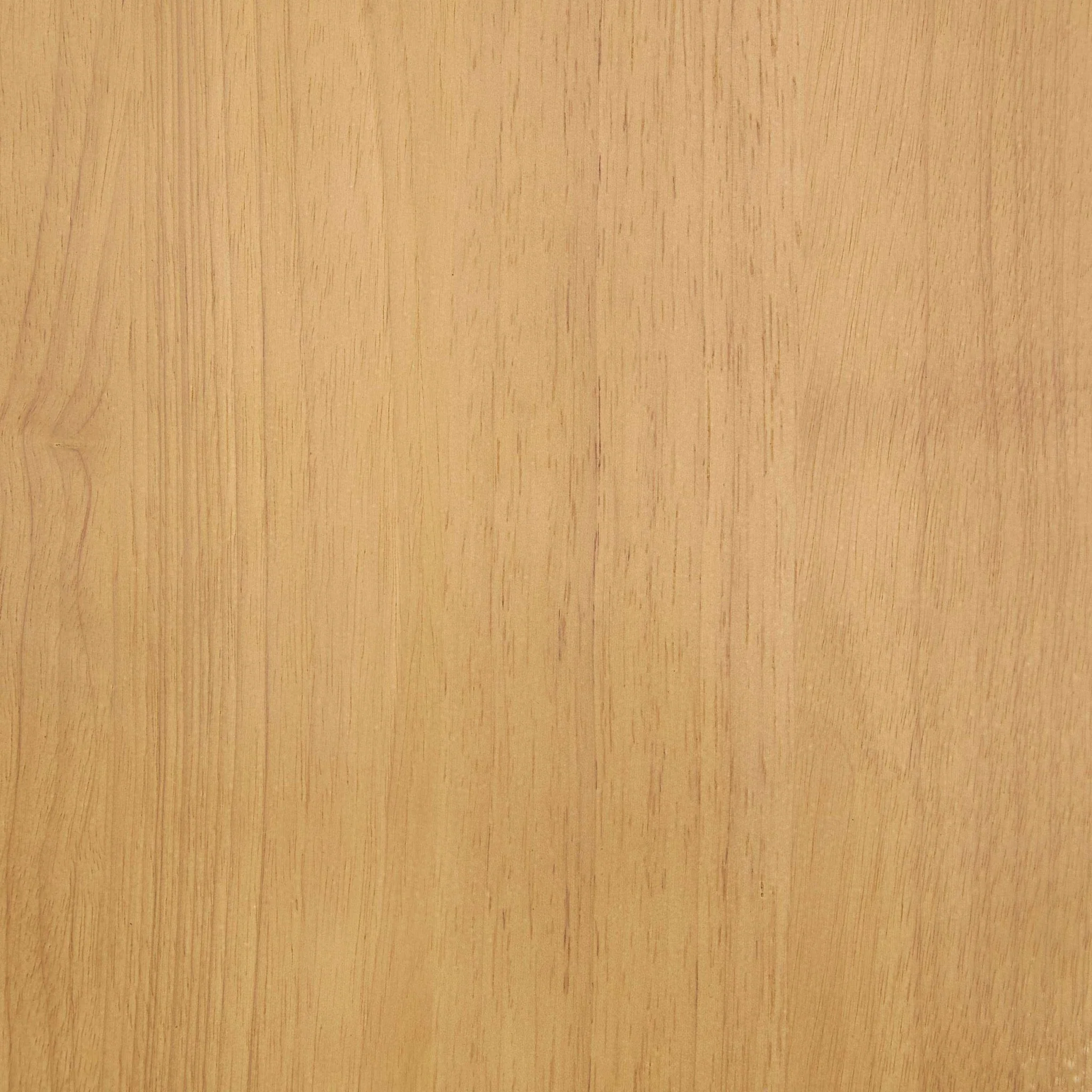 Georgia Set of 2 Dining Chairs - Light Wood - Image 8